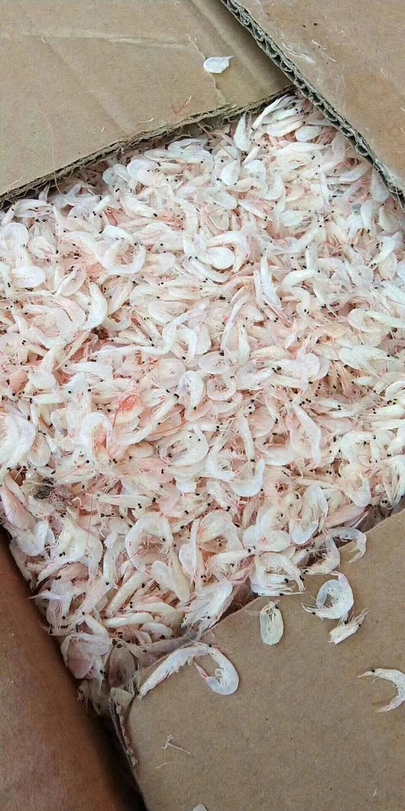 咸货虾皮产地直发大量现货不包运费