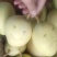 黃帶凱特