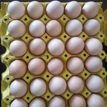 【粉蛋】禽蛋购销处，全国发货红心黄心双色蛋，