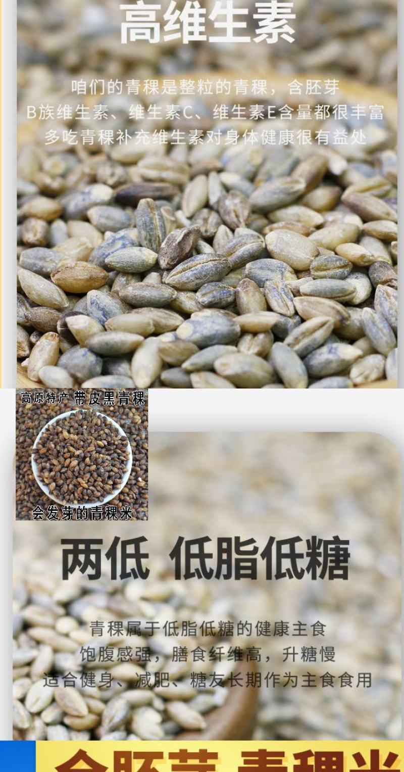 青稞米青藏四宝之一青稞米五谷杂粮青稞米5斤装包邮