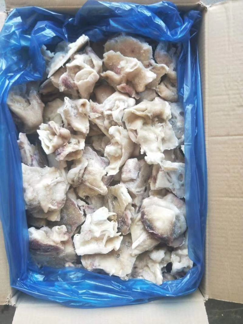 鱿鱼脖子新鲜冷冻海鲜水产鲜活鱿鱼冰冻铁板烧烤火锅鱿鱼脖