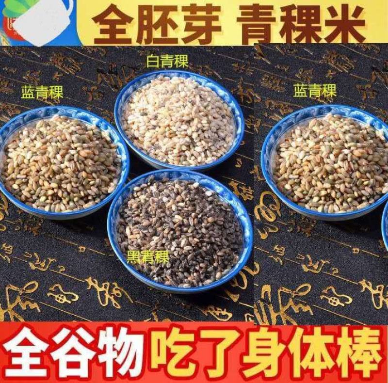 青稞米青藏四宝之一青稞米五谷杂粮青稞米5斤装包邮