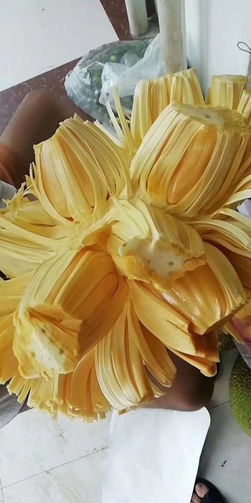 红肉菠萝蜜