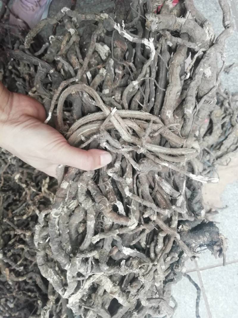 新货中药材全根百解藤