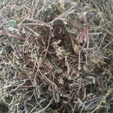 凉粉草～1公斤起售～质量保证~量大从优~