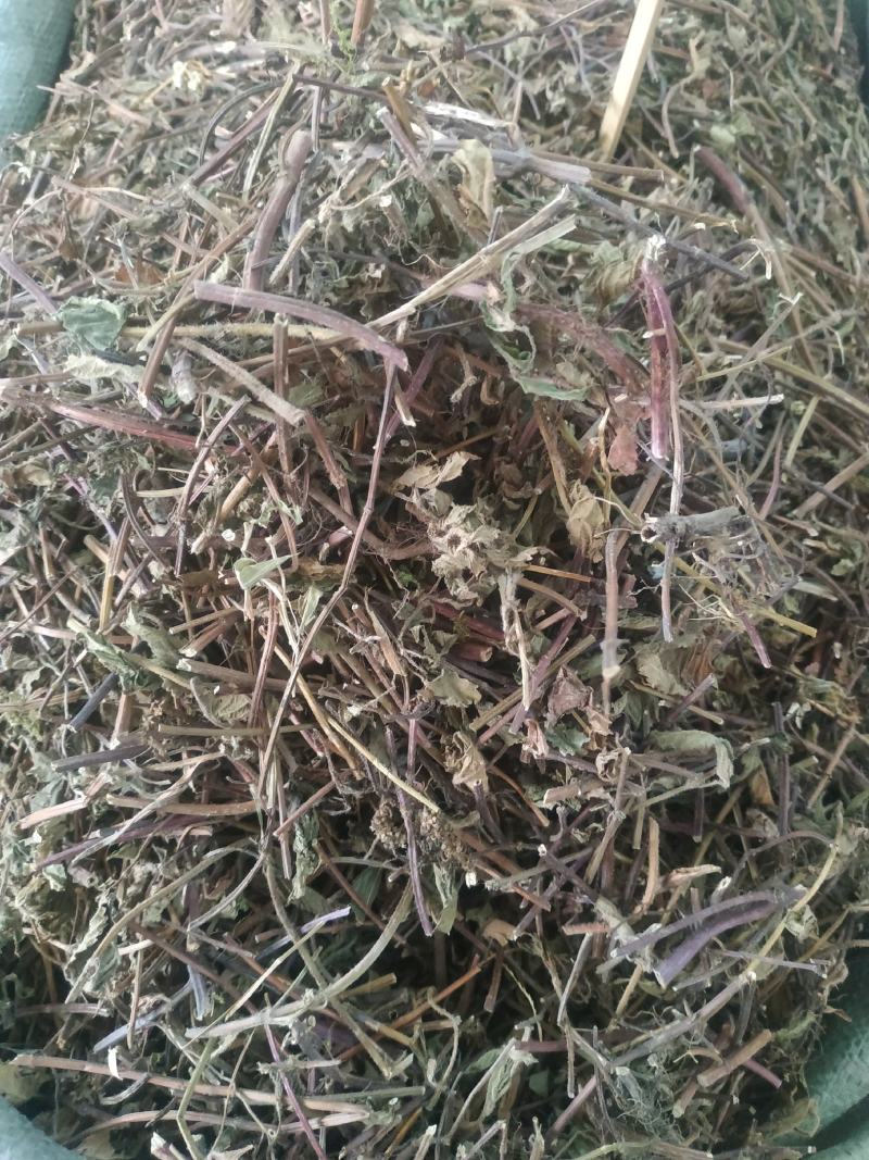 凉粉草～1公斤起售～质量保证~量大从优~
