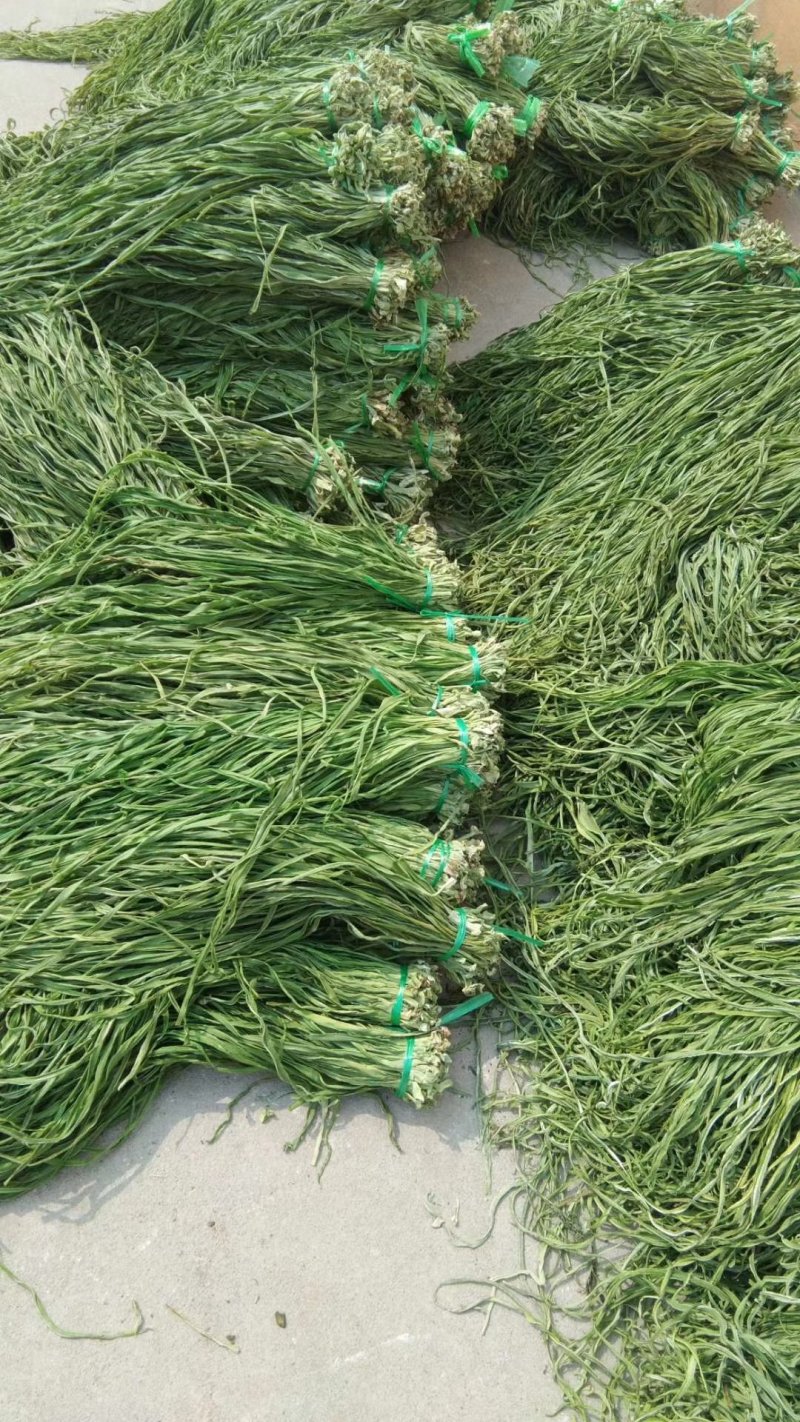 贡菜，各种野菜批发零售快递物流均可