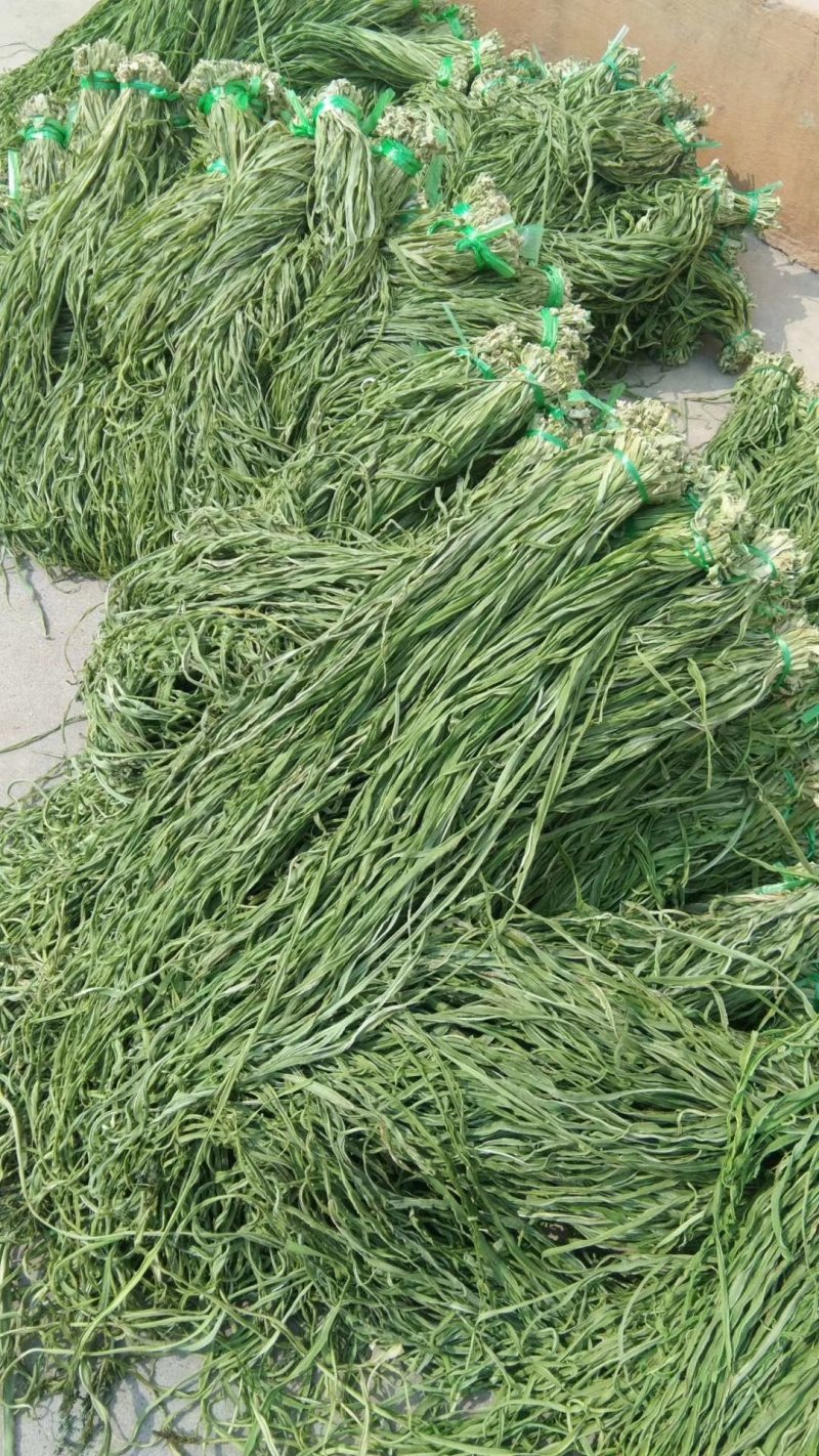 贡菜，各种野菜批发零售快递物流均可