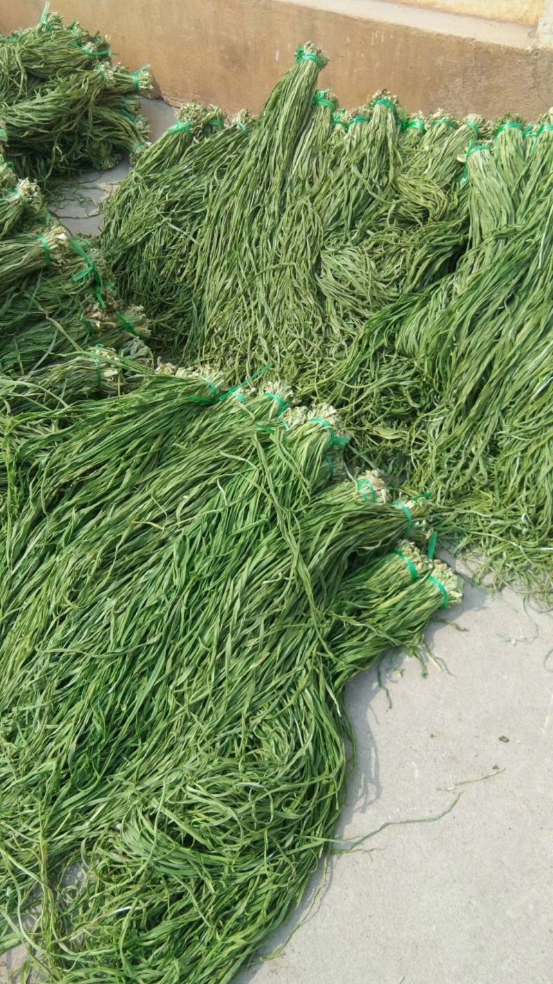 贡菜，各种野菜批发零售快递物流均可