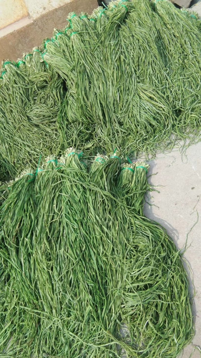 贡菜，各种野菜批发零售快递物流均可