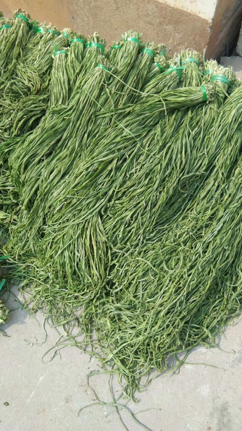 贡菜，各种野菜批发零售快递物流均可