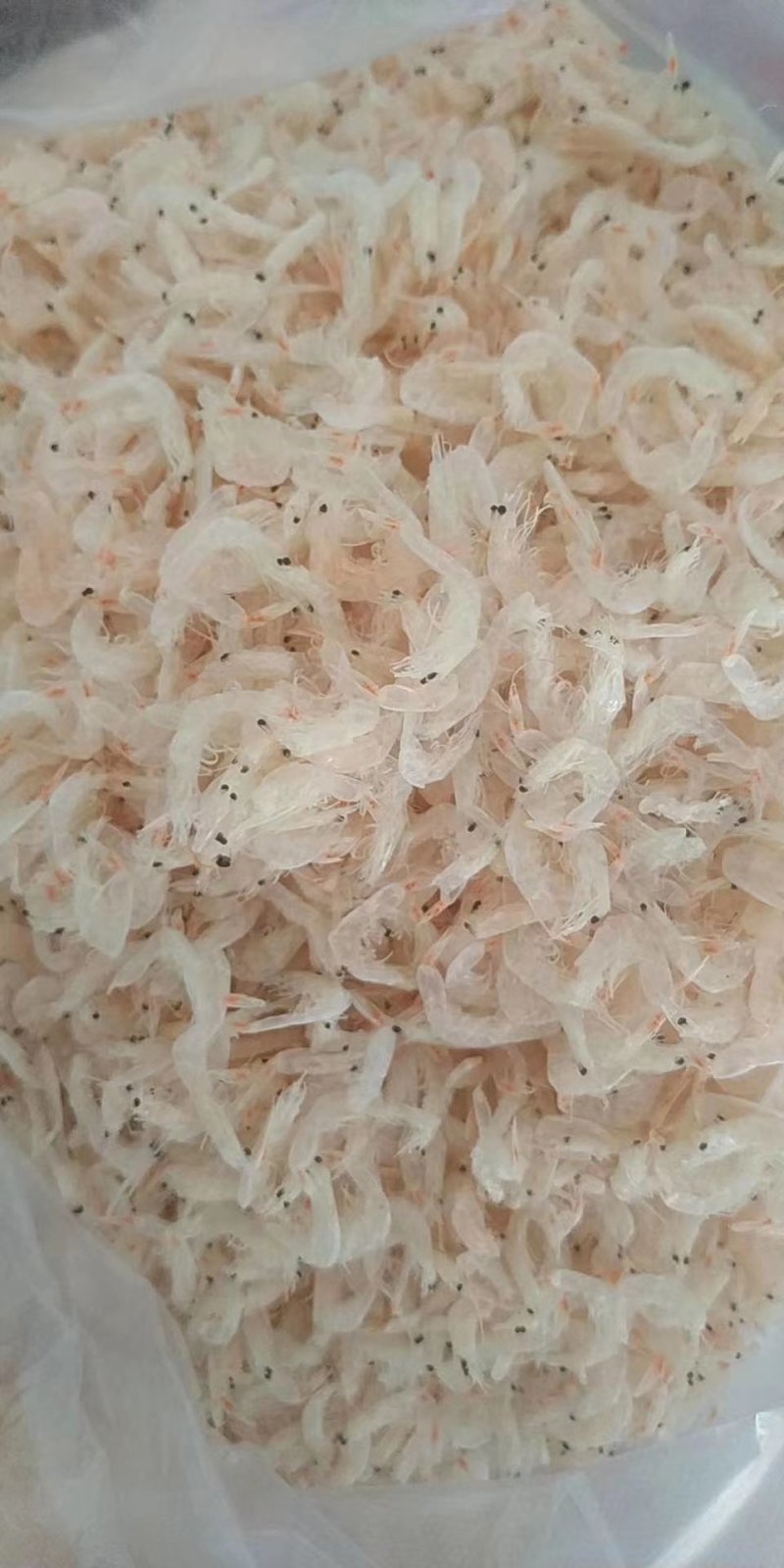 虾皮原产渤海湾优质虾皮
