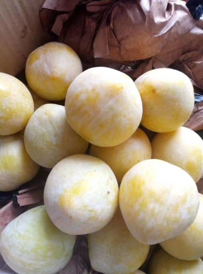 汝城黄金奈李大量上市