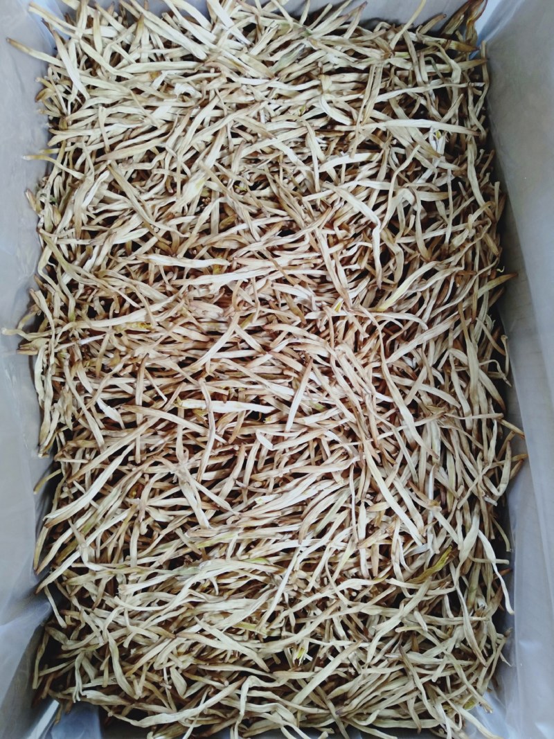 黄花菜特级无硫，产地直销量大从优