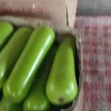瓠瓜精品弧瓜，产地直发，价格优惠，质量保证欢迎来电