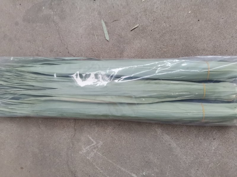鲜芦苇叶，干叶