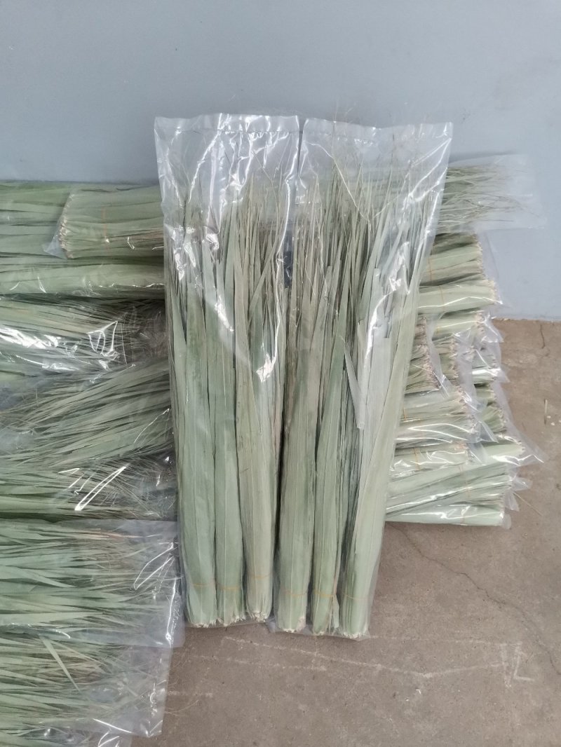 鲜芦苇叶，干叶
