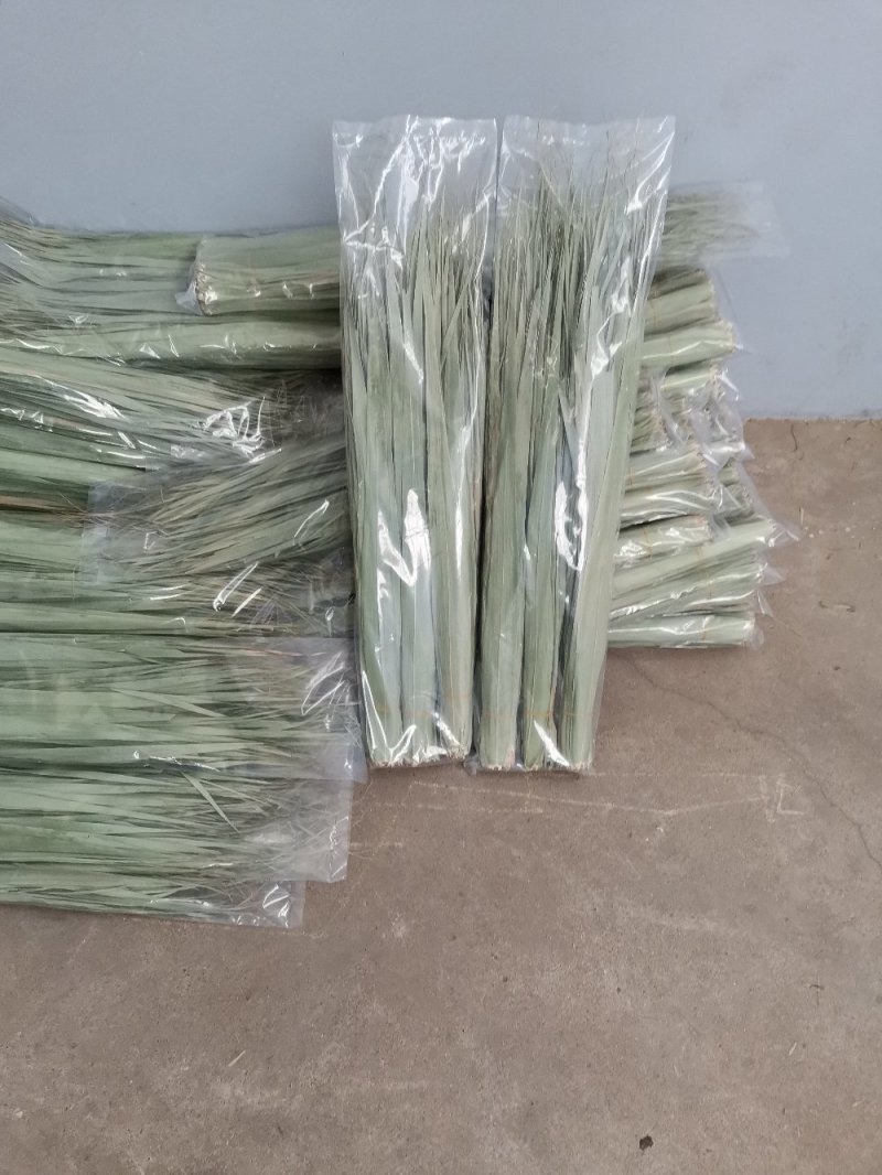 鲜芦苇叶，干叶