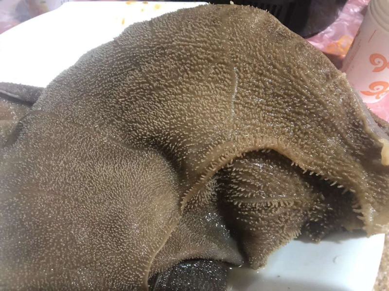 毛肚大叶片工厂直供可贴牌需要可以联系我都毛肚大叶片工厂