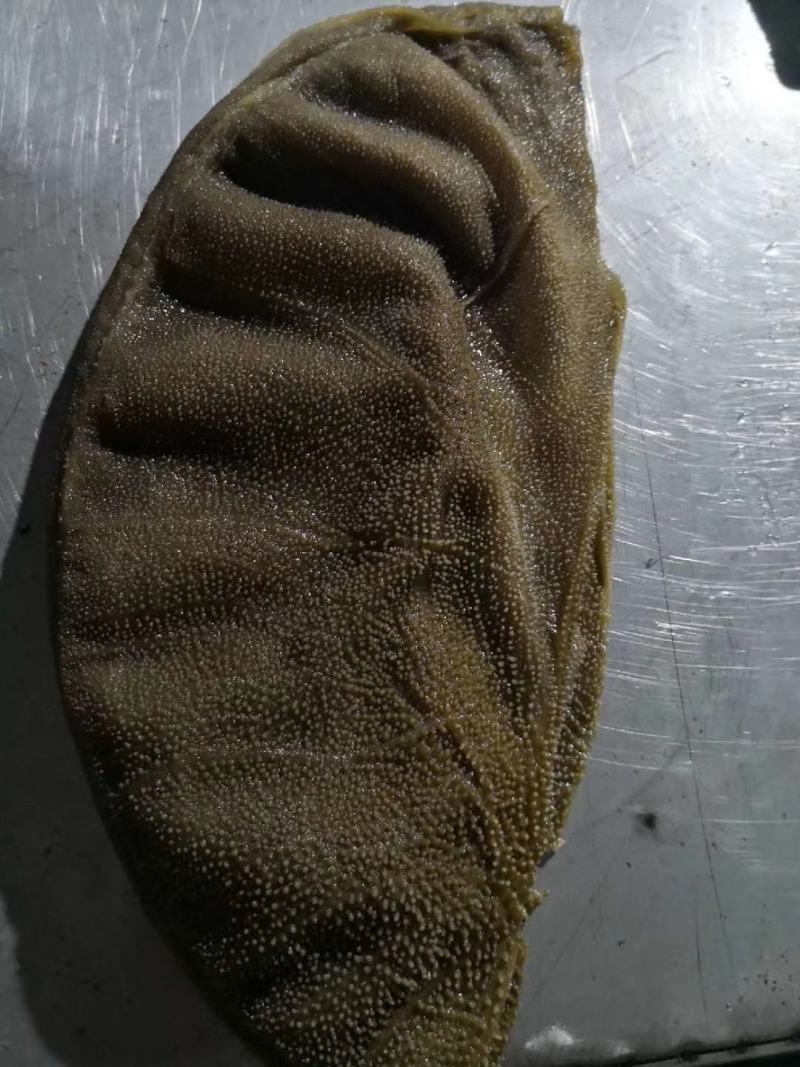 毛肚大叶片工厂直供可贴牌需要可以联系我都毛肚大叶片工厂