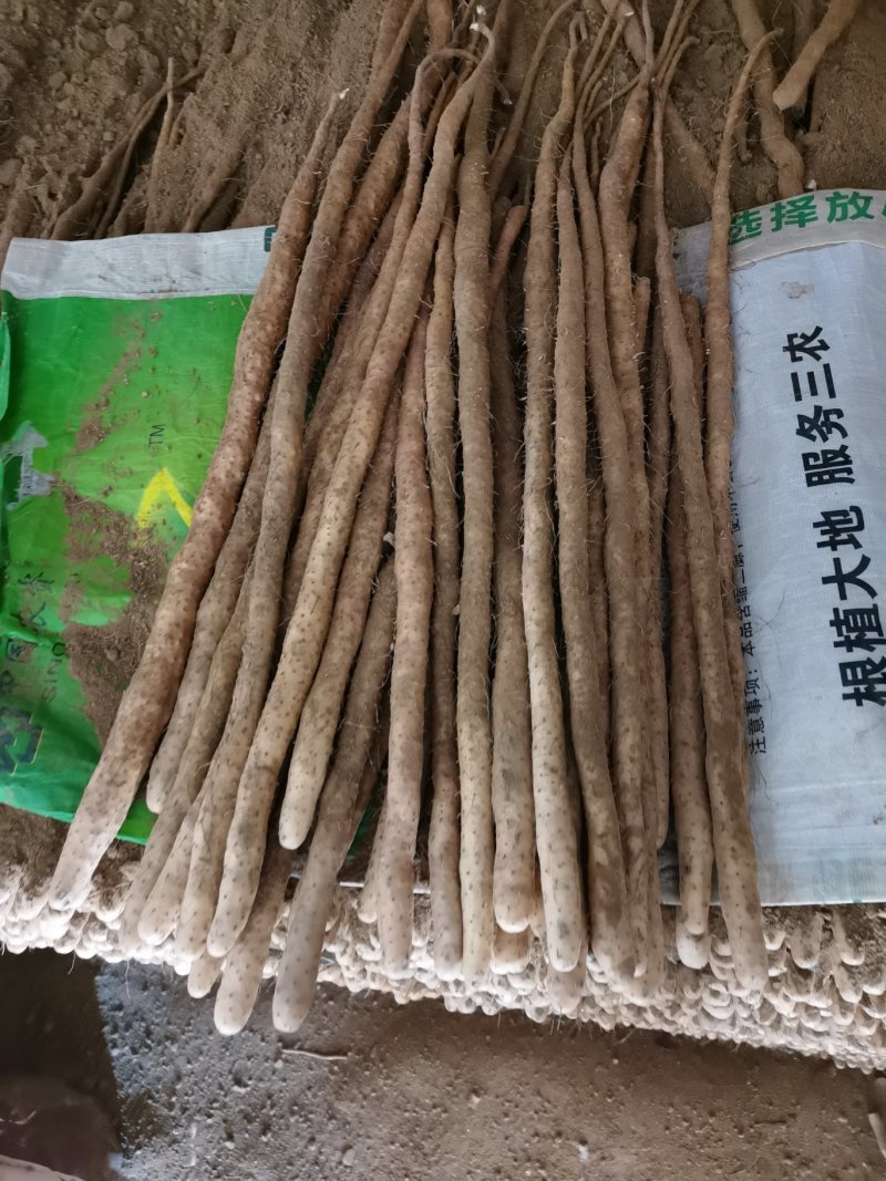 小白嘴大混货