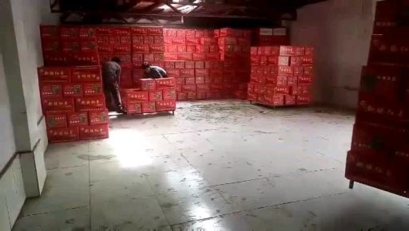 厂家货源新疆若羌红枣若羌灰枣对接电商平台社区团购可做袋装