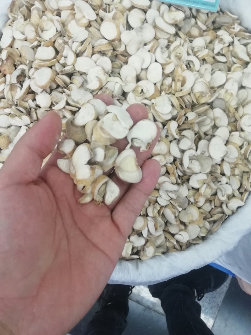 浙贝母2斤起批包邮部分地区不包邮量大电议