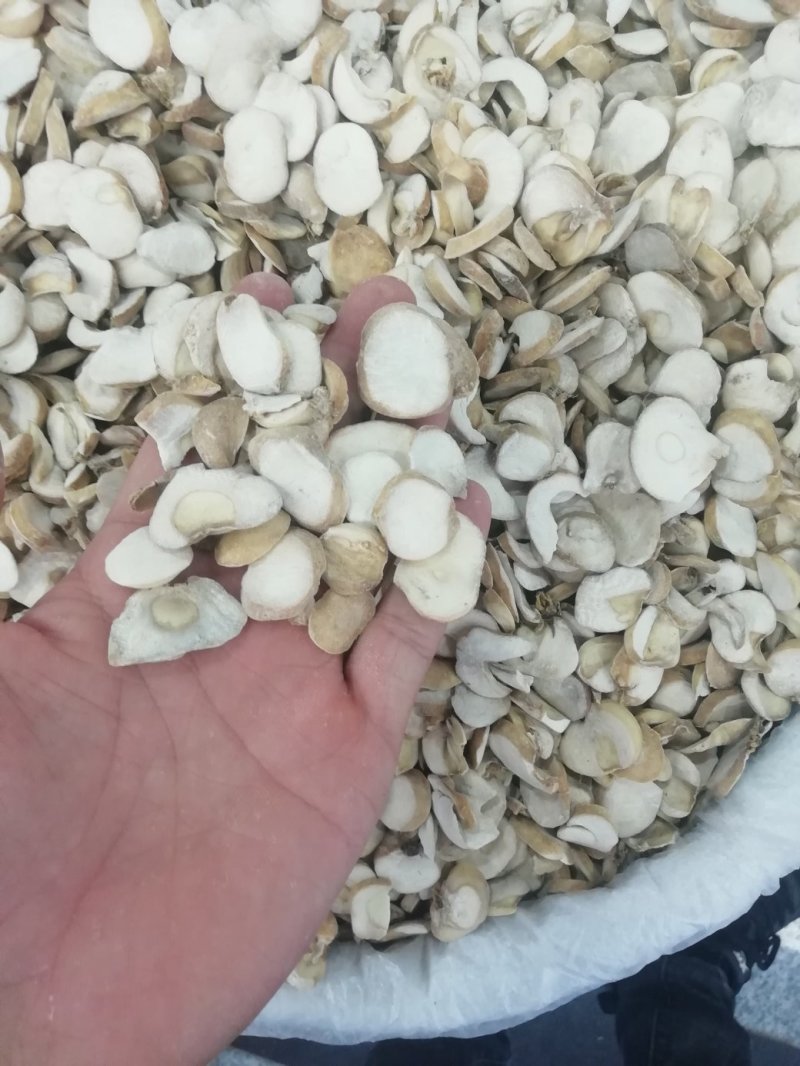 浙贝母2斤起批包邮部分地区不包邮量大电议