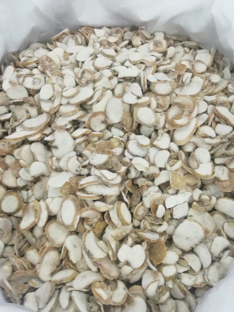 浙贝母2斤起批包邮部分地区不包邮量大电议