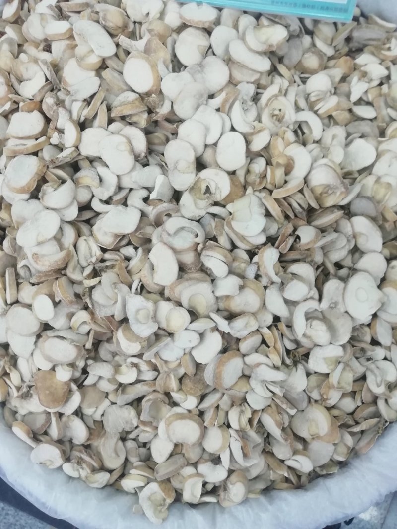 浙贝母2斤起批包邮部分地区不包邮量大电议