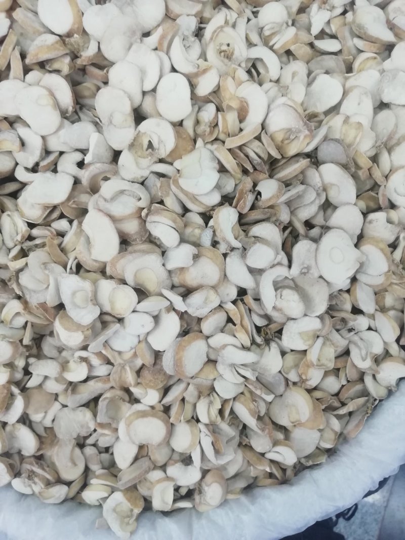 浙贝母2斤起批包邮部分地区不包邮量大电议