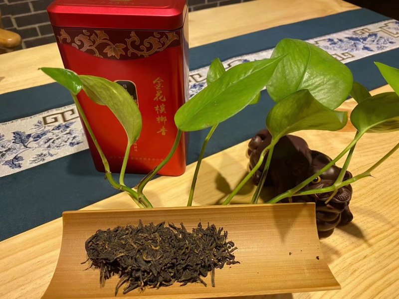 广西梧州六堡茶2013年特级大萝茶（黑茶500克）