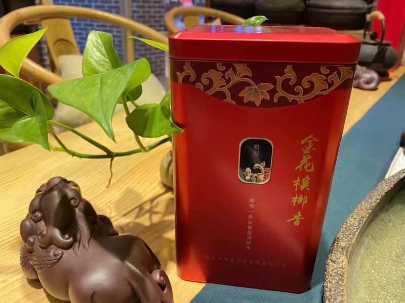 广西梧州六堡茶2013年特级大萝茶（黑茶500克）