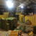 百色桂七芒果大量上市产地直销质量保证支持一件代发