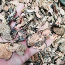 红景天2斤起批包邮量大电仪