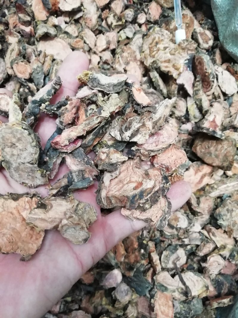 红景天2斤起批包邮量大电仪