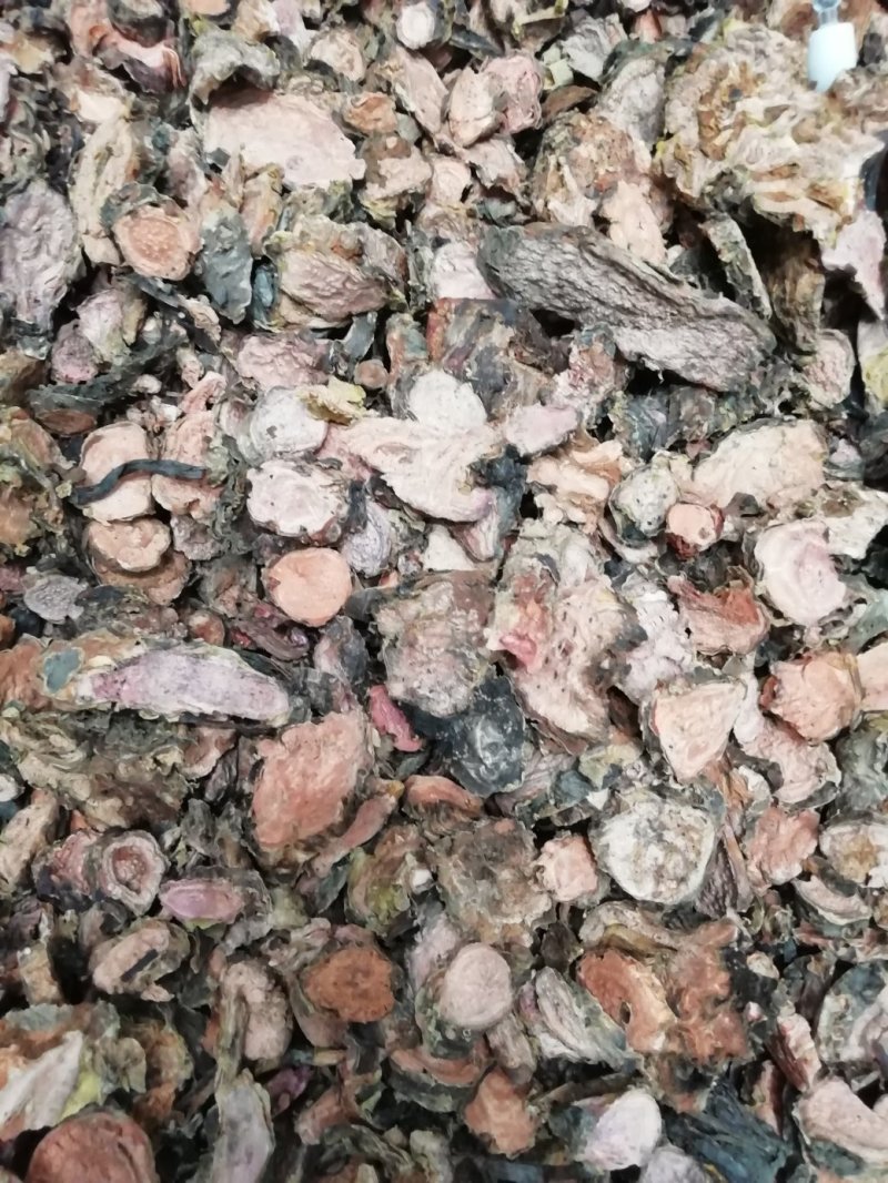 红景天2斤起批包邮量大电仪