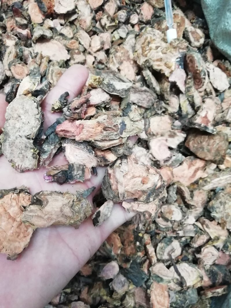 红景天2斤起批包邮量大电仪