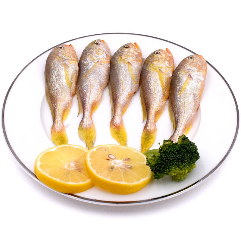精品鲜冻小黄鱼黄海鲜活小黄鱼黄花鱼