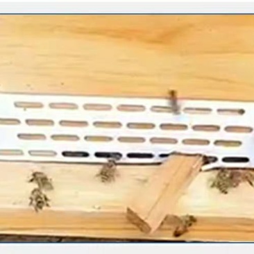中蜂防跑片蜜蜂防跑王片防逃片蜂箱防盗蜂隔王片蜂箱