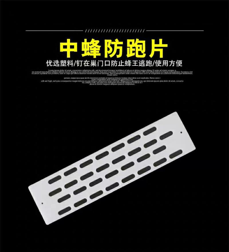 中蜂防跑片蜜蜂防跑王片防逃片蜂箱防盗蜂隔王片蜂箱