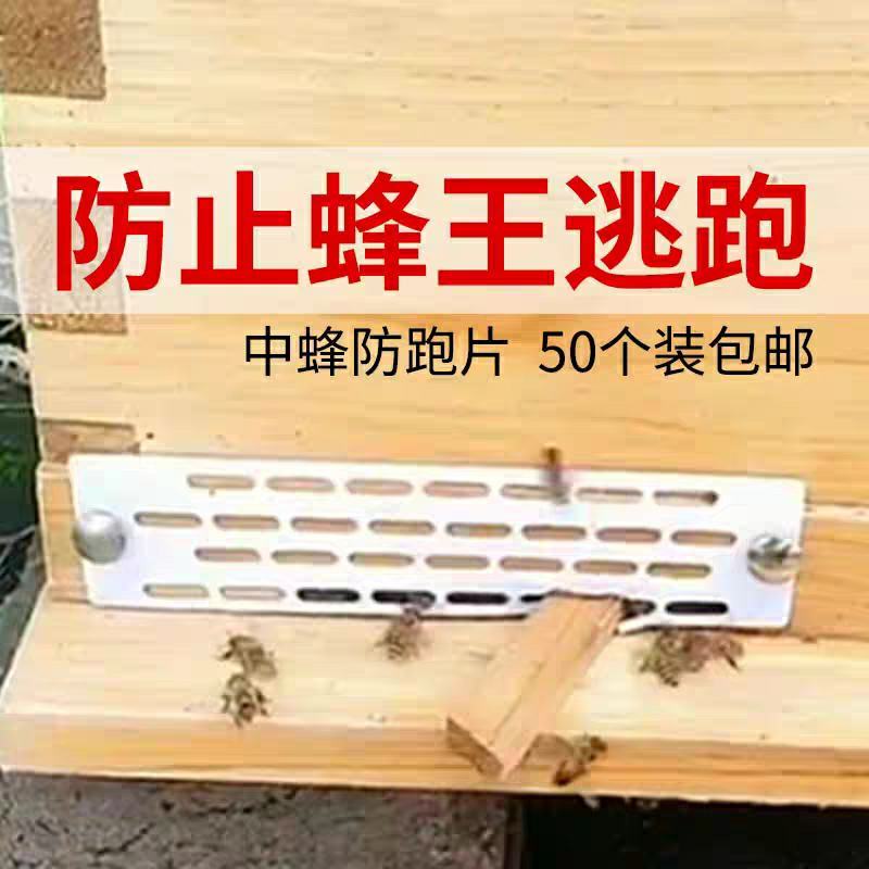 中蜂防跑片蜜蜂防跑王片防逃片蜂箱防盗蜂隔王片蜂箱