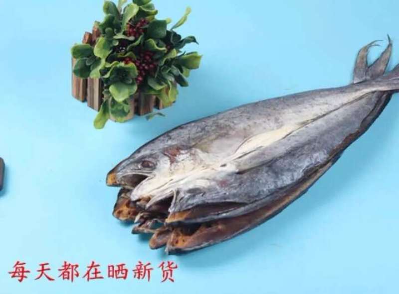 大刀鲅鱼，一条在一斤半左右！8成干以上一款微咸鱼大量有货
