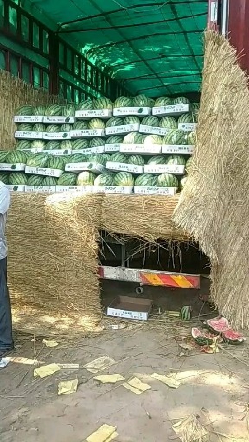 西瓜量大量大速抢速抢质量杠杠滴
