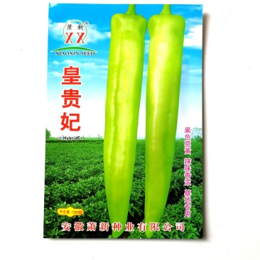 皇贵妃辣椒种子(淡黄色浓辣型尖椒品种