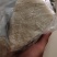 中药材批发白胶香中药材冷背货量大从优