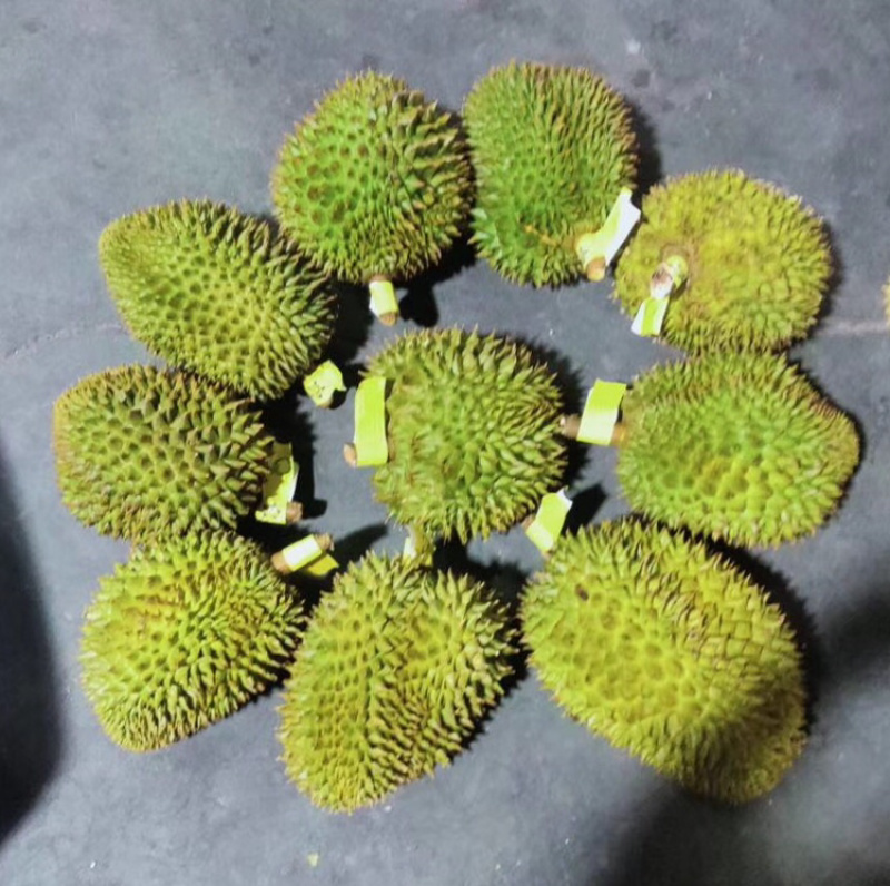 泰国榴莲小金枕巴掌9-13头榴莲新鲜榴莲现货一手货源