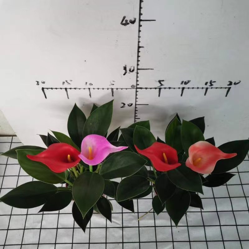 110绿公主绿钻辟邪镇宅植物，基地直发（配仿真花）
