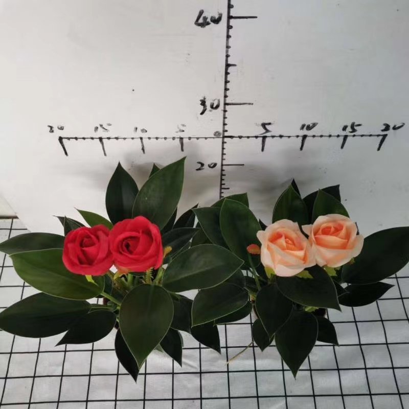 110绿公主绿钻辟邪镇宅植物，基地直发（配仿真花）