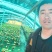 长白山灵芝孢子粉，一手货源，批发商面谈、假一赔十（包邮）